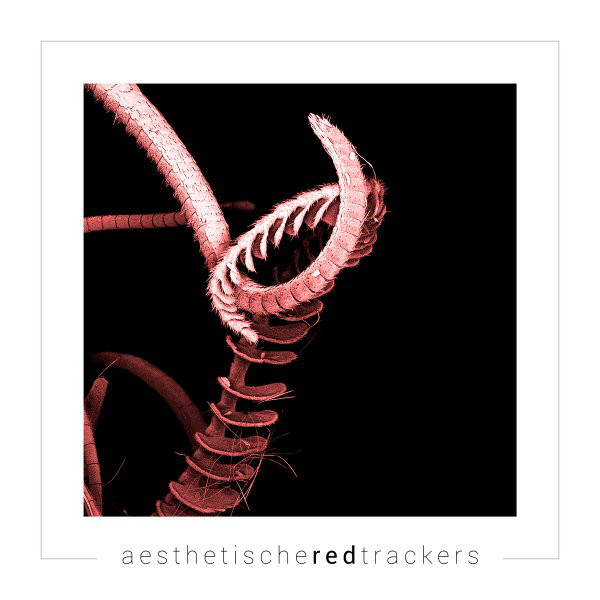 Aesthetische - Red Trackers (The 1000 Milestone Edit) (2013) [Single]