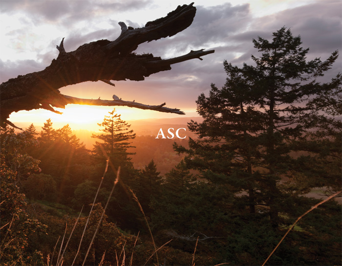 ASC - The Light That Burns Twice As Bright (2011)