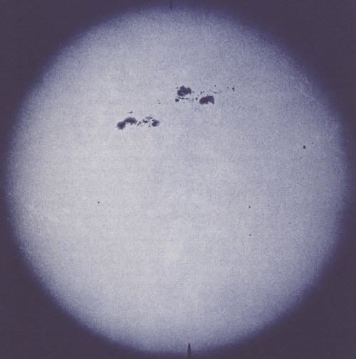 S U R V I V E - Mnq026 (2012)