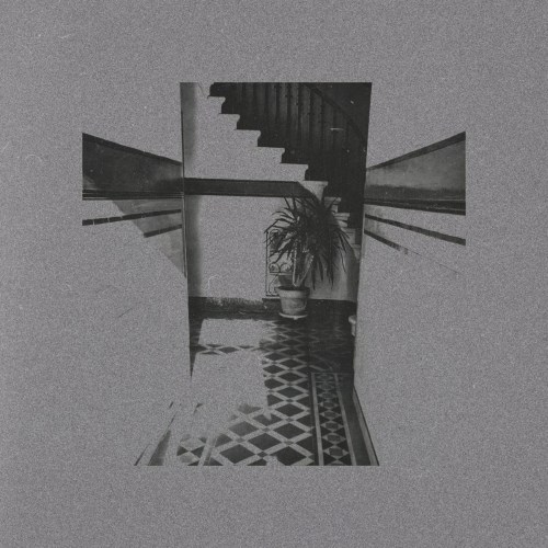 The Cherry Wave - Shimaru (2017)