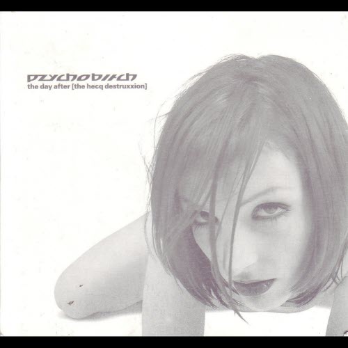 Pzychobitch - The Day After (The Hecq Destruxxion) (2004)