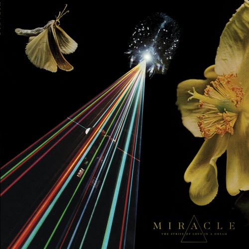 Miracle - The Strife Of Love In A Dream (2018)