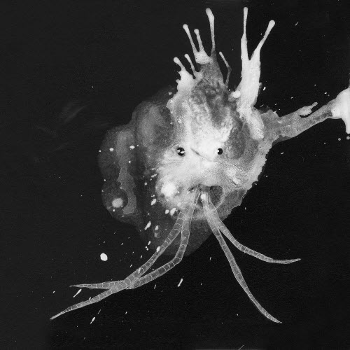 Sigur Rós - Route One (2018)