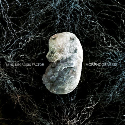 Mind Necrosis Factor - Morphogenesis (2008)