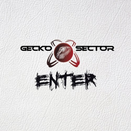 Gecko Sector - Enter (2012)