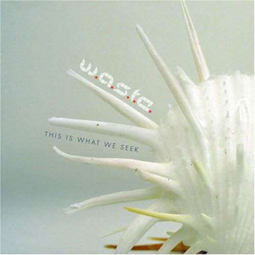 W.A.S.T.E. - This Is What We Seek (2006)