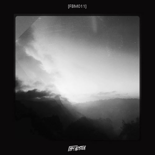 VA - FBM Vol. 11 (2018)