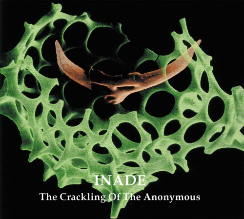 Inade - The Crackling Of The Anonymous (2001)