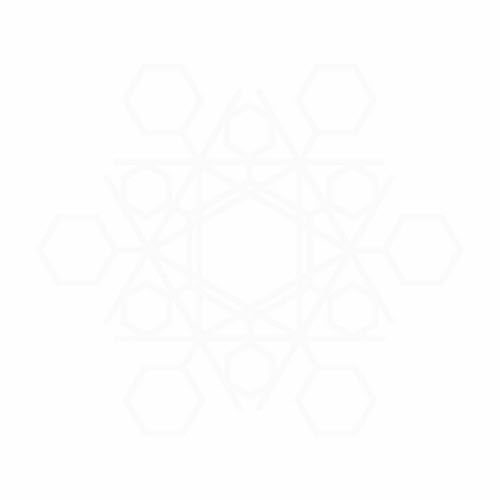 Vile Electrodes - Stark White (2015) [EP]