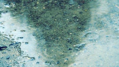 Spirits Of Leo - Rainy Day (2014) [EP]