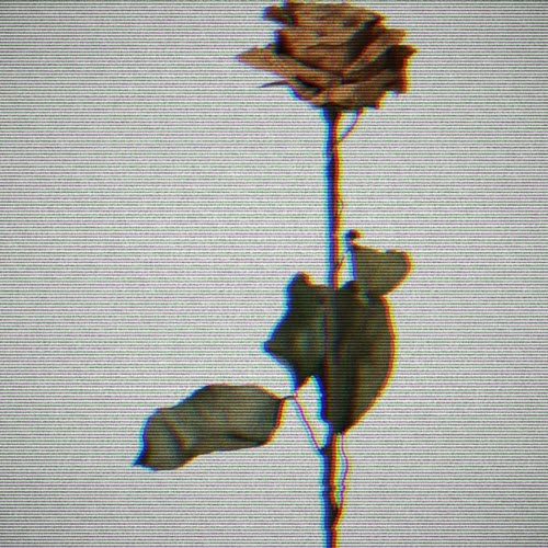 Mind Wired Shut - Scars 2.0 (2023) [Single]