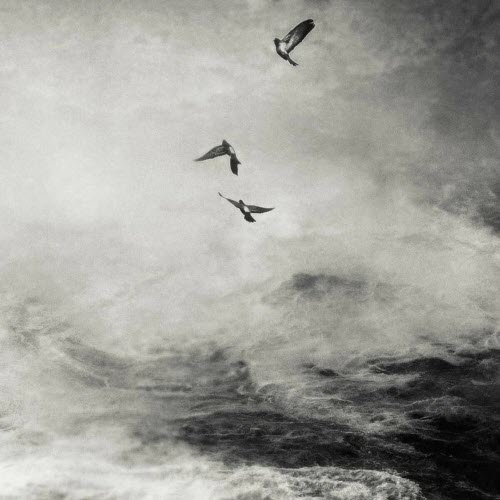 Degrees - Pt. V (2023)