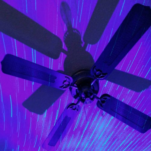 Measure My Sleep - Windswept (2023)