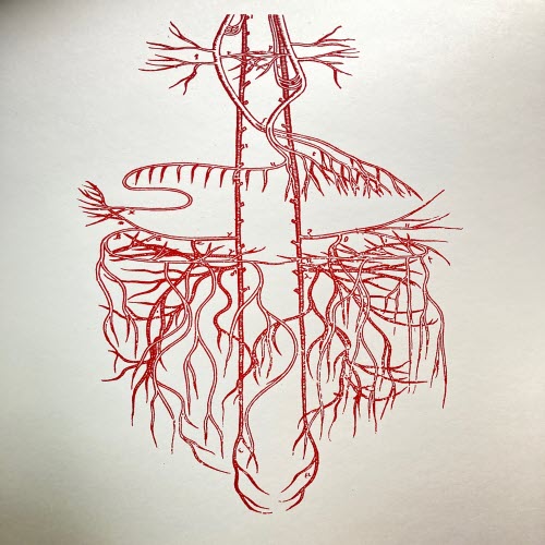 Athena Ignoramus - Many On Many (2023)