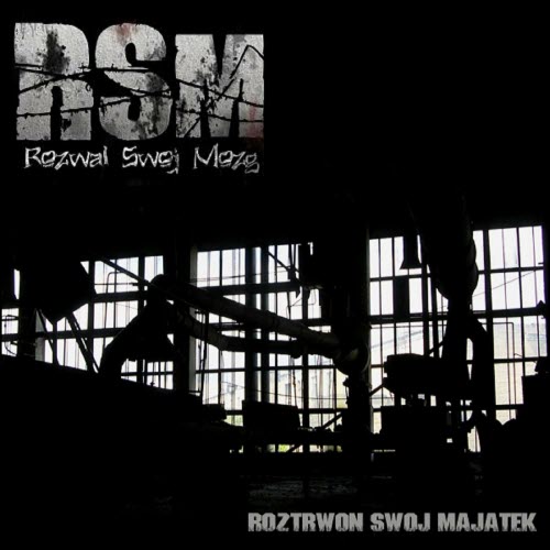 RSM - Roztrwoń Swój Majątek (2009) [EP]
