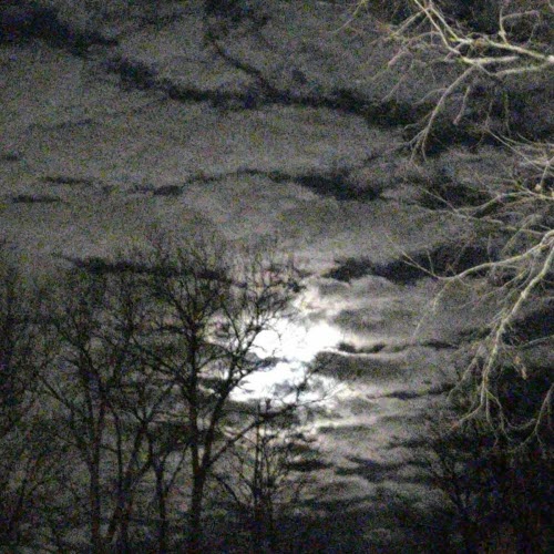 Industrial Waist - Haunting Me, Haunting You (2023)