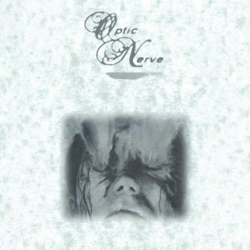 Optic Nerve - In A Fast Car Waving Goodbye (2021) [EP]