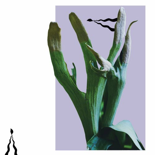 Landing - Subscription Series Collection 02 (2022)