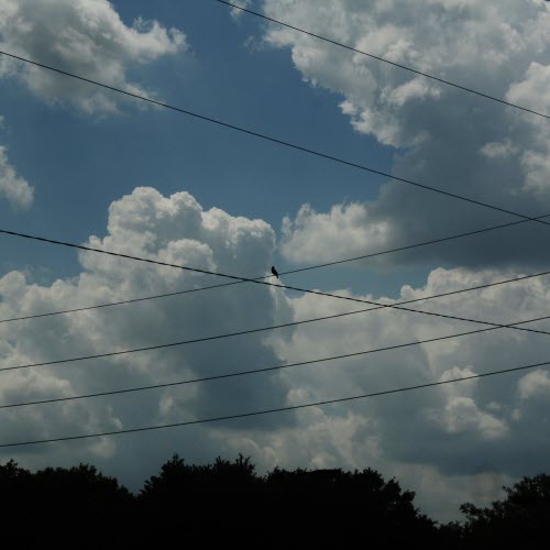 Two One Six - Deluxe & B-Side (2020) [Single]