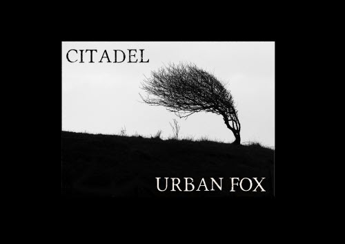 Urban Fox - Citadel (Re-Recorded) (2010) [EP]