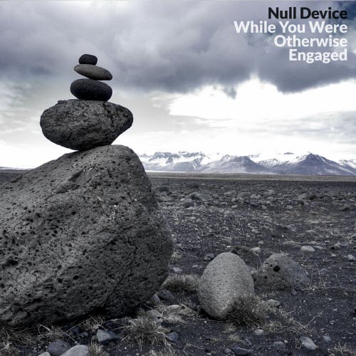 Null Device - While You Were Otherwise Engaged (2016)