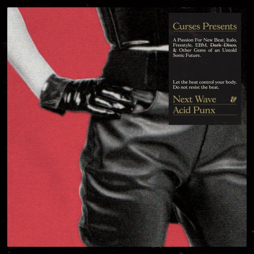 VA - Next Wave Acid Punx (2021)
