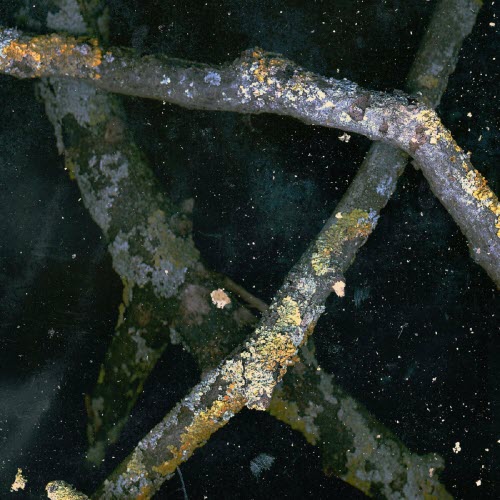 Sádon - Мреть (Наутро Ночь) (2021)