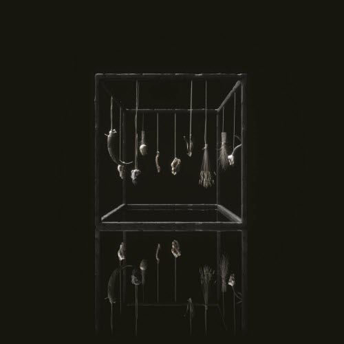 Treha Sektori - Rejet (2021)