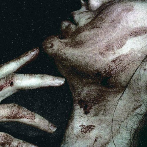 Ornamented Gauze - Coldness Be My God (2024)