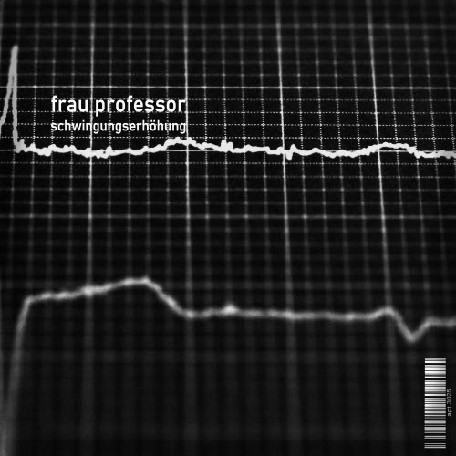Frau Professor - Schwingungserhöhung (2024) [Single]