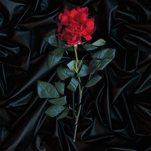 Girlfriends And Boyfriends - Our Garden (2015)