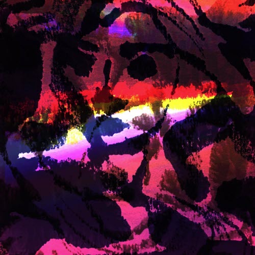 Phoebe Collins - Running Up That Hill (2022) [Single]
