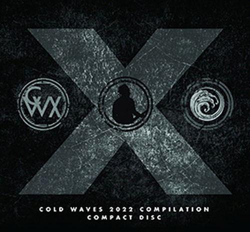 VA - Cold Waves 2022 (2022)
