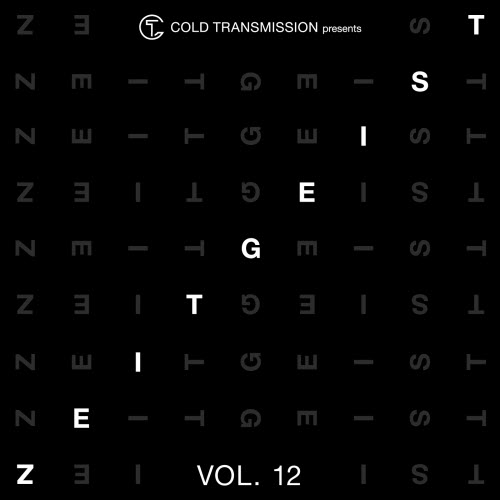 VA - Zeitgeist Vol. 12 (2019)