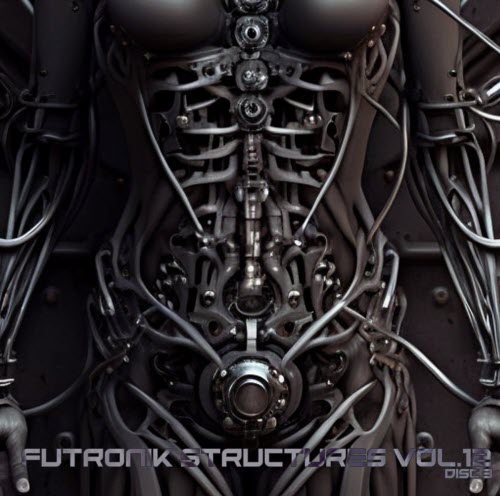 VA - Futronik Structures Vol. 12 (Disc 3) (2024)