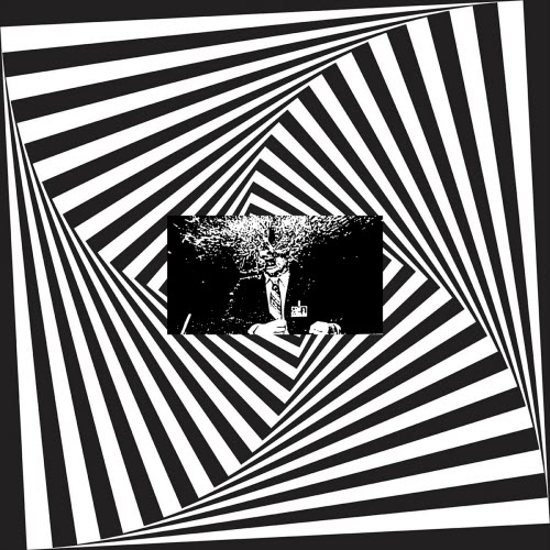 Petrified Entity - Flesh (2024) [Single]