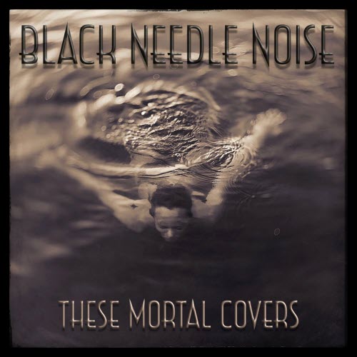 Black Needle Noise - These Mortal Covers (2022)