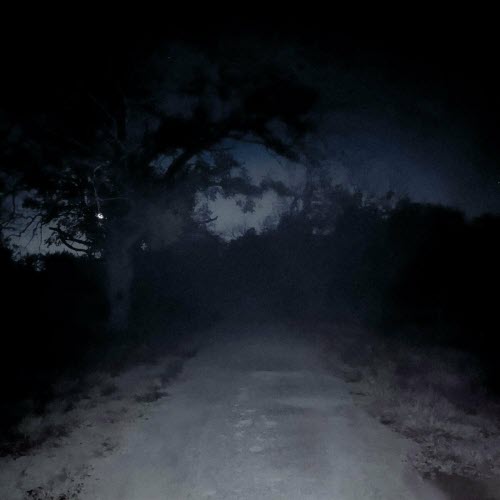 Frail Chain - Heading Down A Dark Path (2024) [EP]