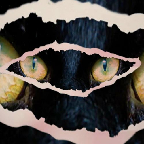 Gant - Ghosts After Night Time (2021)