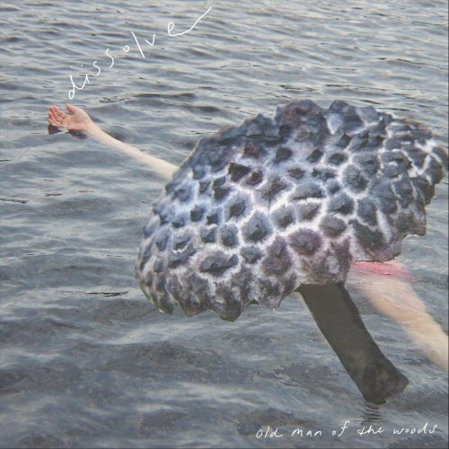 Old Man Of The Woods - Dissolve (2020) [EP]