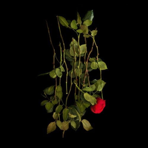 Hours Of Worship - Fading Away To An Empty Nothingness (2021) [EP]