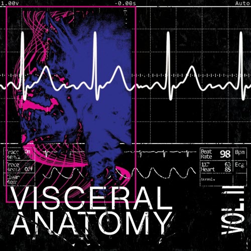 Visceral Anatomy - Vol. II (2023) [EP]