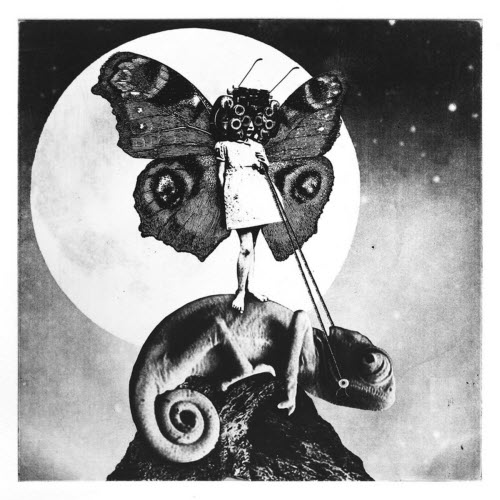 The Exaltics - The Girl And The Chameleon (2016)