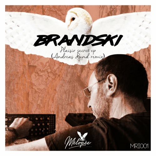 Brandski - Plaisir Secret (2020) [Single]
