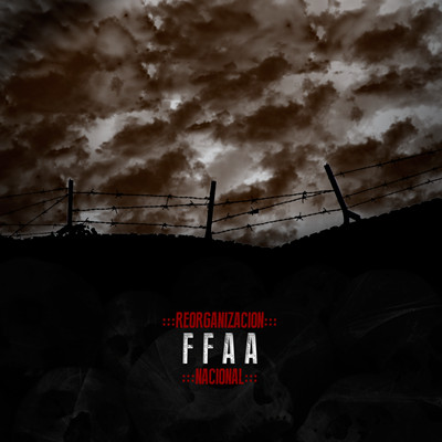 FF.AA - Reorganización Nacional (2013)