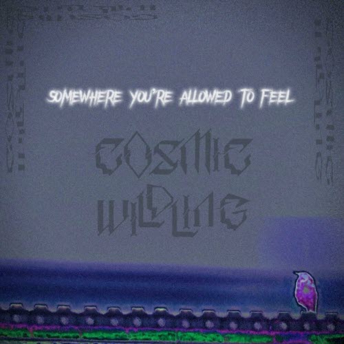 Cosmic Wildling - Somewhere You're Allowed To Feel (2023) [EP]