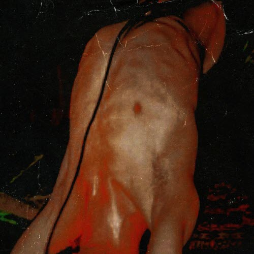 Tassel - Crazy For You (2025) [Single]