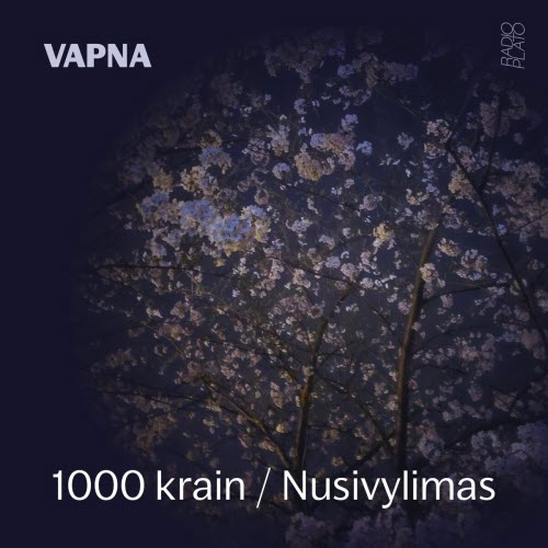 Vapna - 1000 Krain / Nusivylimas (2025) [Single]