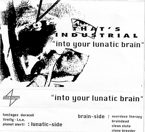 Zero Defects - Into Your Lunatic Brain (1990)