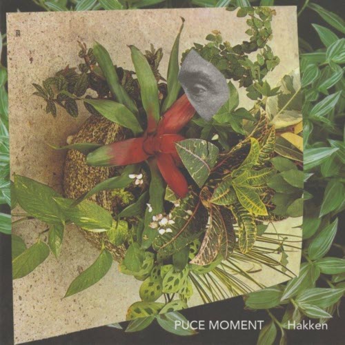 Puce Moment - Hakken (2021)